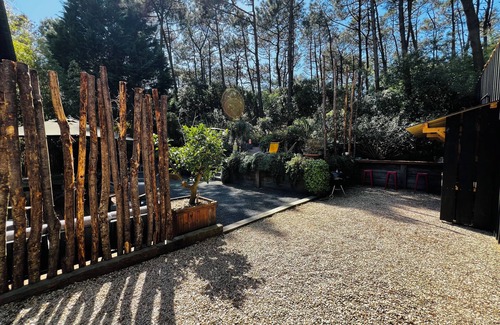 Cap-Ferret Apartment | Cap Ferret apartment with beaches 5mn walk away