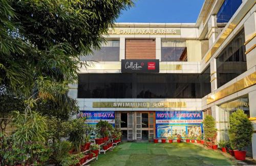 Dehradun Hotel | Capital O Shimaya