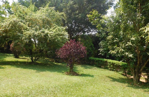 Kampala Cottage | Captivating 2-Bed Cottage in Kampala