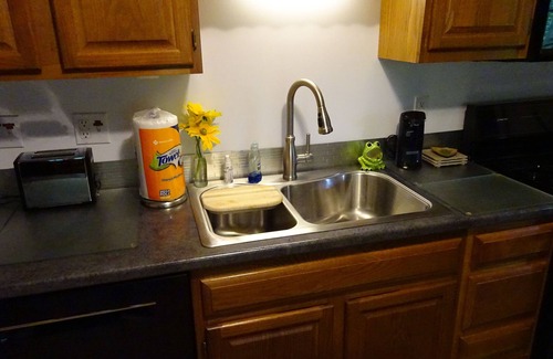 Hendersonville House | Cardinal Cottage, Great Location, Beautiful Setting, Private Comfy Wh.Squirrels