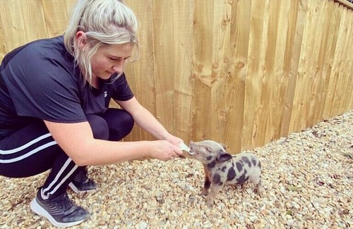 St. Florence Cottage | Cariad