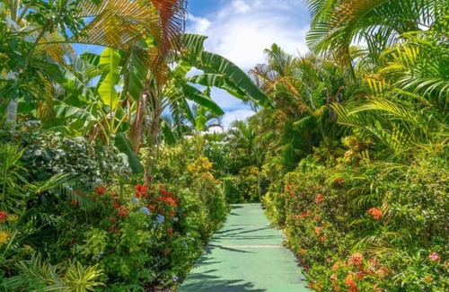Dampierre House | Caribbean Pearl No. 19