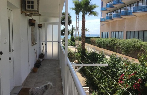 El Albir Apartment | Carpe Diem