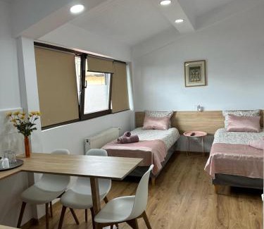 Cluj-Napoca House | Casa Adriana Cluj-Napoca