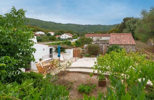 Alvados House | Casa Alba, desde 1926