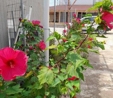 Dhikella House | Casa Armonia