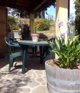 Riparbella House | Casa Belvedere -tranquillità tra bosco e ulivi-