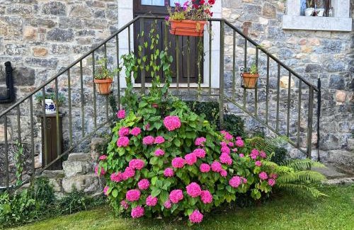 Cangas de Onis House | Casa Cerezal