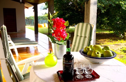 Vila do Conde House | CASA DA MIZA Country house with garden, terrace and barbecue