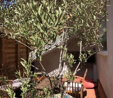Marseillan Apartment | CASA DAHLIA - Charmant appartement équipé avec grande terrasse