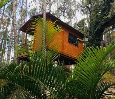 Jarabacoa Other | Casa de Arbol, Rancho Tierra Alta