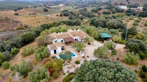 Villanueva de Tapia House | Casa de Campo La Mejorana Piscina entre olivos