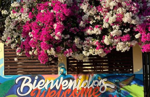 Santa Maria Colotepec Hotel | Casa De Las Libélulas-Oaxaca