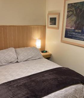 Huitzilac Ski Chalet | Casa del Bosque - Huitzilac - Up to 24 guests