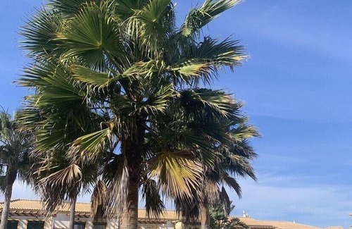 Guia House | Casa DEOLINDA - Street of Sea and golf
