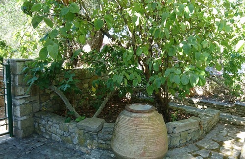 Paxos House | Casa di Nonna Nina-a Paxos retreat
