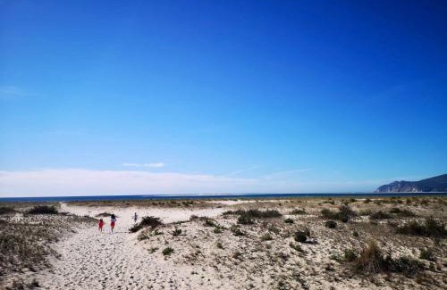 Carvalhal House | Casa Do Mar - Sea View Beach House - Troia Comporta