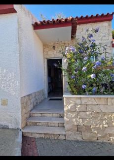 Foz do Arelho House | Casa do Miguel
