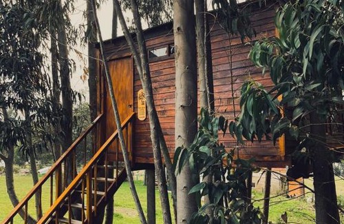Guatavita Other | Casa en el Árbol Guatavita