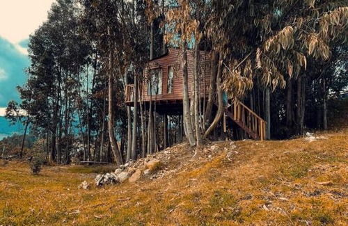 Guatavita Other | Casa en el Árbol Guatavita