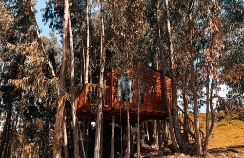 Guatavita Other | Casa en el Árbol Guatavita