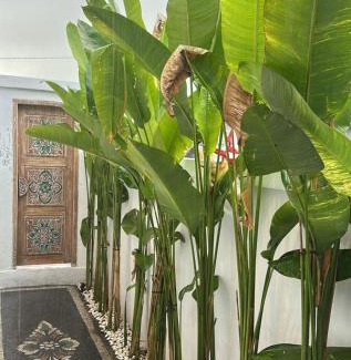 Bangli House | Casa Feliz Guest House