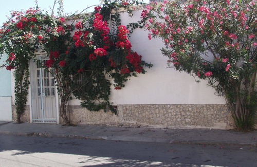 Barrio de Santiago House | Casa Flora Peaceful Oasis in el centro long term specials!