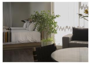 Macrodistrito Sur Hotel | Casa Grande Suites