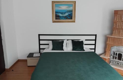 Viseu de Sus House | Casa Ile