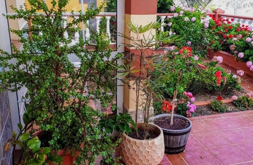 Playa de Santiago Apartment | Casa Junonia, with terrace Bajo A