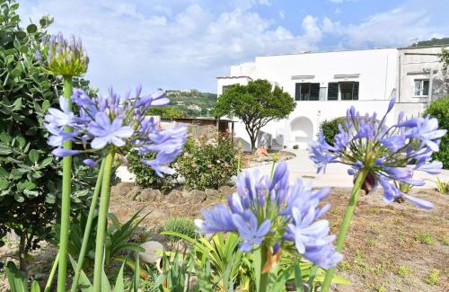 Barano d'Ischia Apartment | Casa Lucia