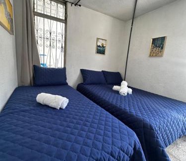 Zona 12 House | CASA MAGNOLIA