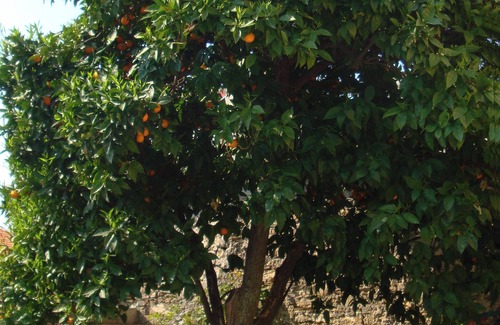 Vasia House | Casa Margherita, cozy house in the ancient village, quiet location