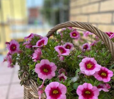 Scafati Apartment | Casa Myrina