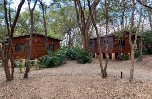 Brasilito Cabin | CASA NATURaL