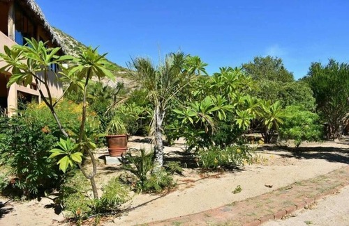 Cabo Pulmo House | Casa Pájaros - Entire Lower Unit