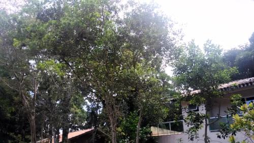 Morrinhos House | Casa Praia de Mariscal