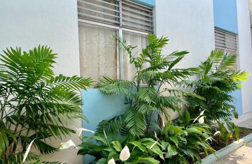 Zona 13 Bed & Breakfast | Casa Quetzal