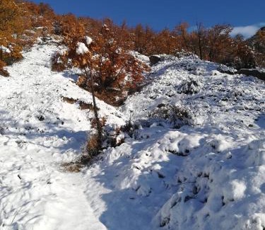 Navalacruz House | Casa Rural la Cancha II