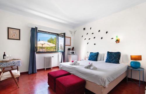 Sao Bras de Alportel House | Casa Santo António