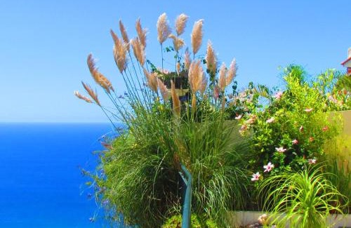 Arco da Calheta Apartment | Casa Serena Apartments
