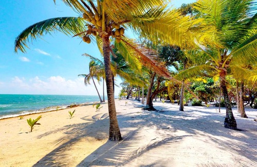 Placencia House | Casa Spuntino