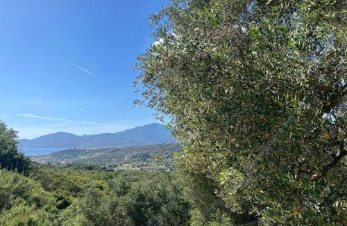 Ascea House | Casa vacanze Alfano
