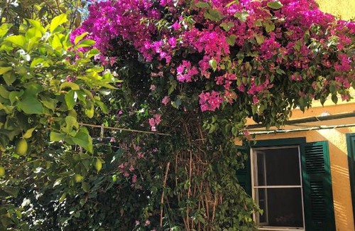 Porto Ercole House | Casa Vacanze Caravaggio