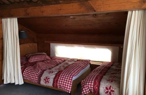 Tavanasa Ski Chalet | Casa Vesta Magnifica Wildi