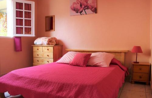 Cilaos House | CASAMELIAS "Le camélia"