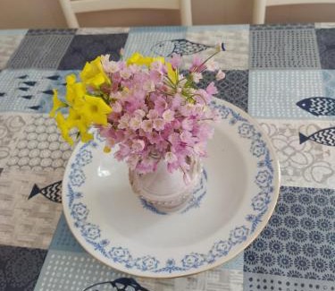 Le Forna Apartment | Casatalento2