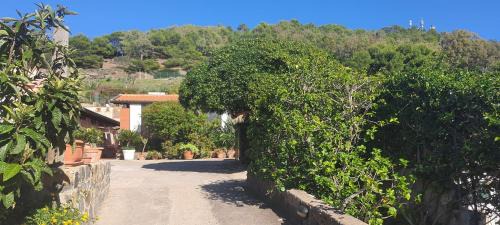 Ustica Apartment | Caserta Holiday Rent