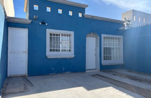 Chihuahua House | Casita Blue