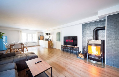 Orth Apartment | Castle view: A1connection/fireplace/parking/kitchen
